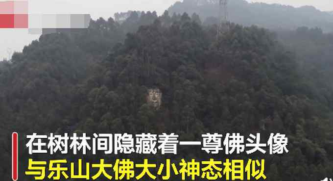 四川偏僻山村现乐山大佛“孪生兄弟” 当地政府回应让人意外！