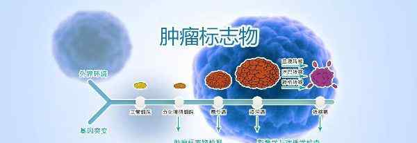 serum是什么意思 肺癌的四个肿瘤标志物 肺癌确诊的检查指标是什么意思？