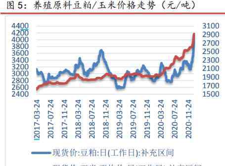 火箭蛋 “火箭蛋”哑火大跌，要跌破4元？