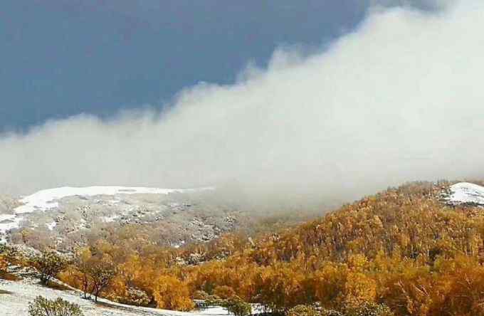 北京门头沟下雪 北京门头沟灵山下雪了！延庆冬奥赛区昨夜现“海坨戴雪”美景