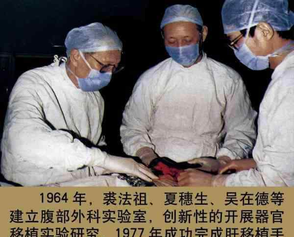 中国器官移植 中国器官移植之父辞世，享年95岁，家属遵其遗愿捐献角膜
