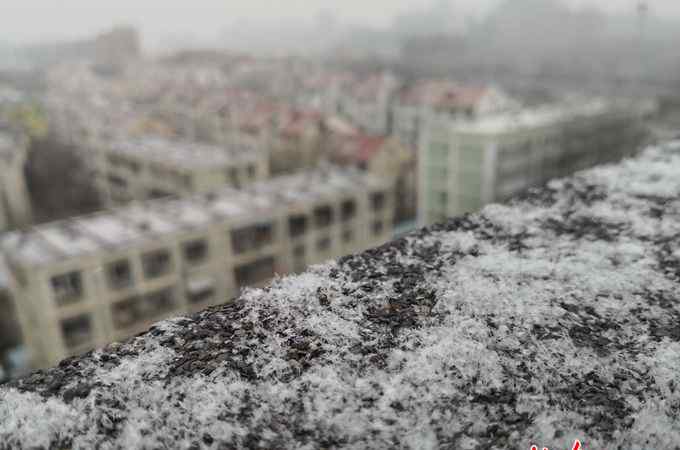 开始下雪了 开始下雪了！北京市气象台：北部郊区已下，今降雪持续时间较长