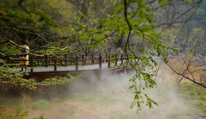 清明踏青好去处 清明踏青好去处 北京植物园“雾里看花”