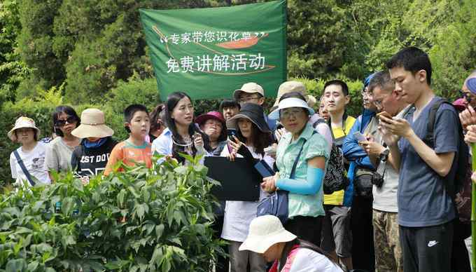 佩香囊 端午假期北京市属公园接待百万游客 举办包粽子、佩香囊等活动
