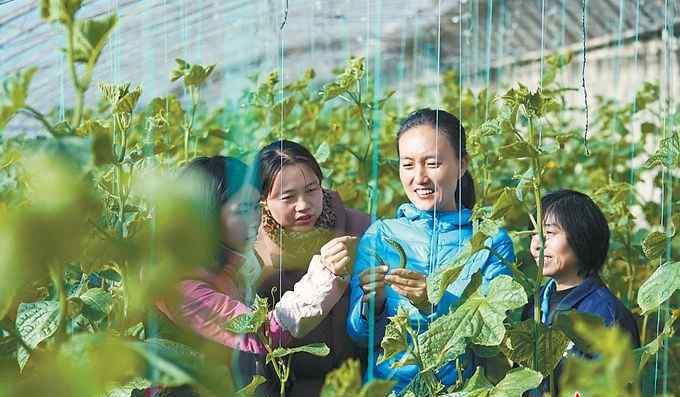 石嫣 女博士后整日在田间地头，“移植”有机生态农业是她的梦想