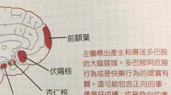 运动时身体内会同时产生多巴胺和内啡肽 这两种物质有啥区别