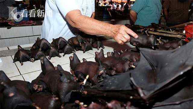 印度尼西亚肉食品市场无视当局警告 蝙蝠仍在热卖中......