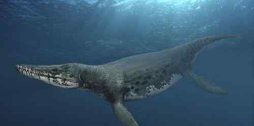 地球上10大史前海洋巨兽：龙王鲸、板足鲎、毛伊龙、旋齿鲨