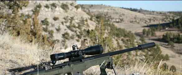 世界上威力最大的狙击枪：L115A3、CheyTacM200、AS50狙击步枪
