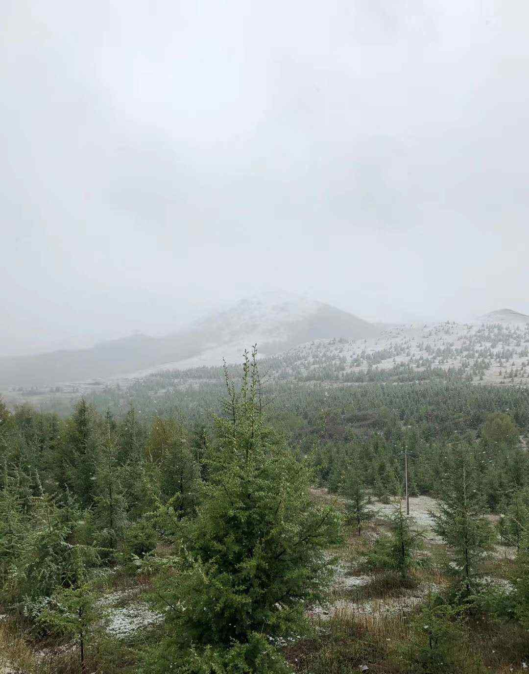 北京大雪图片 5月飘雪！今天，北京灵山下雪了，组图来了