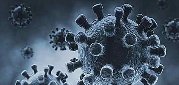 人类历史上几次大规模传染病 传染病致死率的排行榜