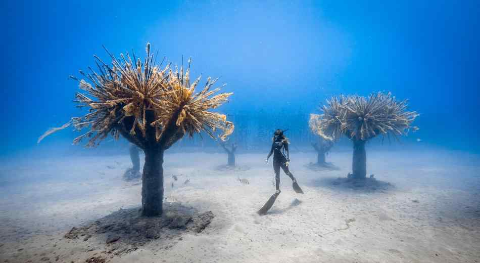 世界水下博物馆有哪些：大西洋博物馆、白鹤梁水下博物馆