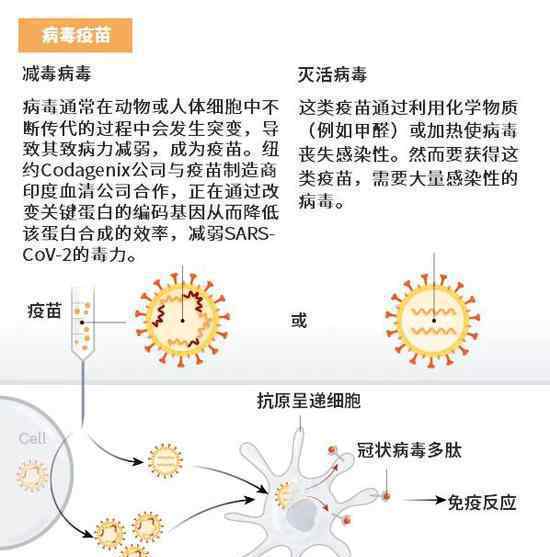 科学家们希望通过八种方式实现对SARS-CoV-2的免疫