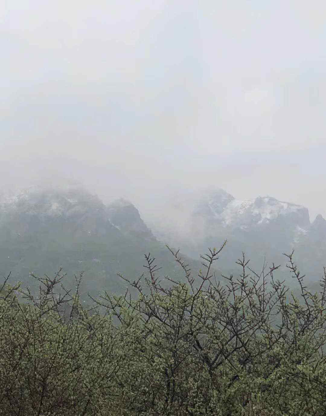 北京大雪图片 5月飘雪！今天，北京灵山下雪了，组图来了