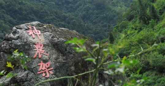 神农架女野人抢男人是真的吗 神农架野人有真实照片吗