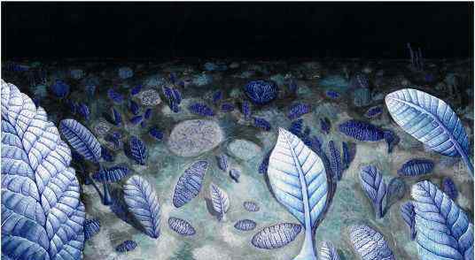 海底考古：地球上最早的生物可能是以群居网络的形式生活在一起