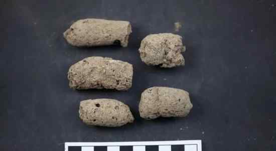 一坨7000年前的粪便：为什么考古学家要研究数千年前的粪便?