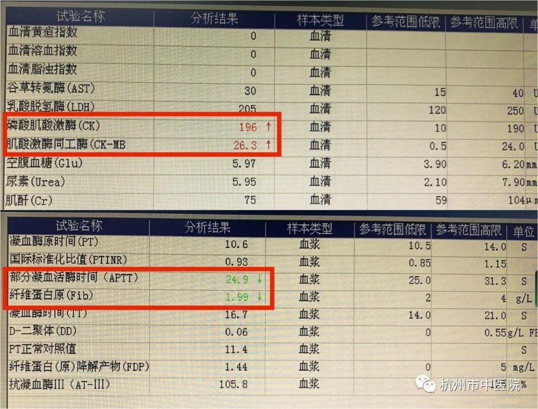 家里看到蛇“突然想逗一逗它”？杭州23岁男子春节假期被毒蛇咬