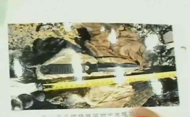 南京市雨花台区某小区一硕士刺死前女友后放火焚尸
