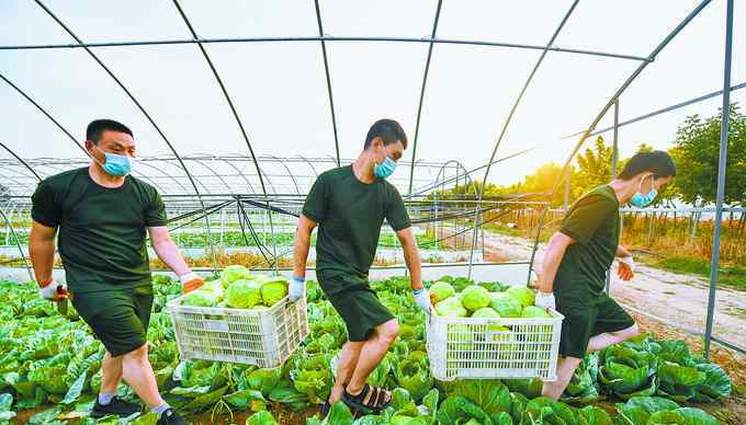 北京水果外送 这个退伍军人团队打包配送蔬菜和水果，让北京居民吃得安心