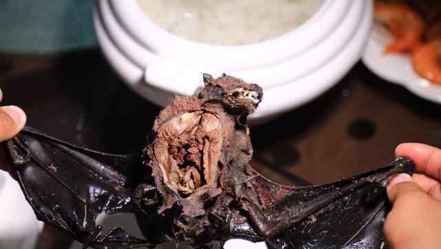 全球十大最恐怖黑暗料理之首：帕劳蝙蝠汤