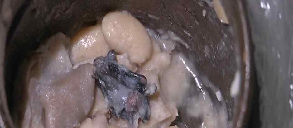 肚片汤里吃出整只蝙蝠 蝙蝠的来源暂时不好确定