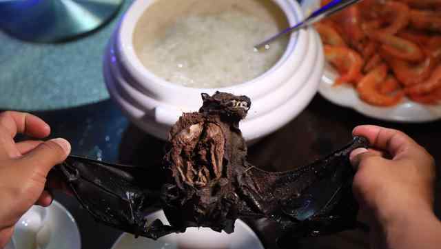 全球十大最恐怖黑暗料理之首：帕劳蝙蝠汤