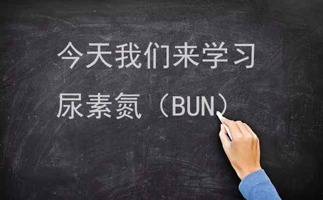 尿素高肌酐高 尿蛋白、血肌酐患者都知道，那尿素氮指标大家注意过吗？