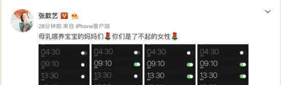 张歆艺晒每日泵奶闹钟图 感叹:母乳喂的妈妈真了不起