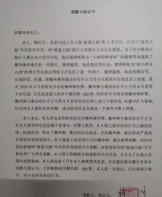 梅轩宇选手发道歉声明 承认捏造魏坤琳桑洁不正当关系