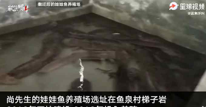 贵州大山夹缝中现5层楼房走红全网 用途曝光让人直呼没想到！