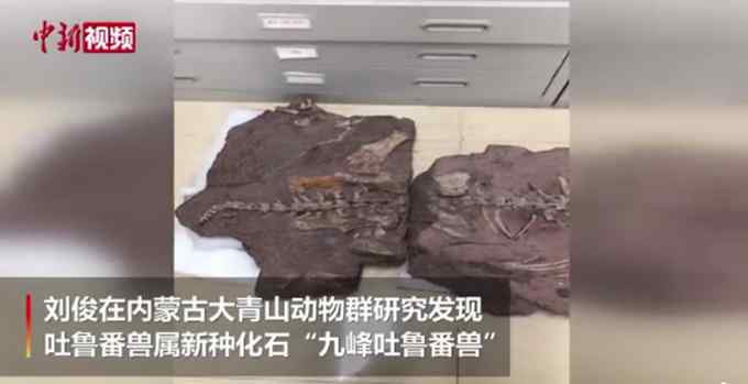 中国发现2.5亿年前九峰吐鲁番兽 体型大小相当于现在河马