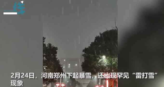 记者采访交警 身后男子啃雪球像吃馒头一样自然！网友：加糖更好吃