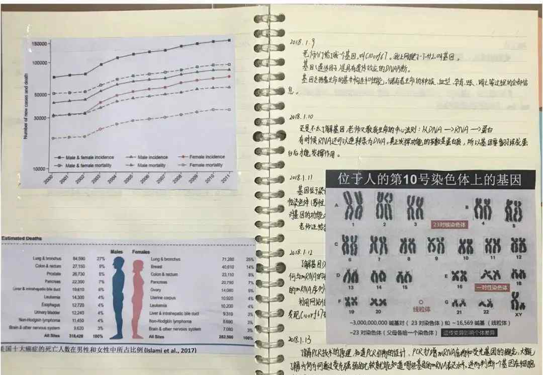 侠客岛：“神童”的最高境界，是拼爹