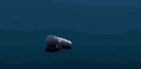 1200米的大王乌贼 “奋斗”万米后，大洋底部还有什么是我们没见过的？