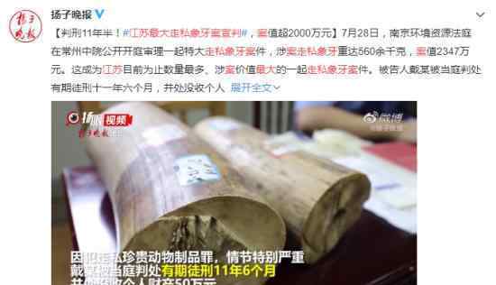 江苏最大走私象牙案宣判 具体什么情况