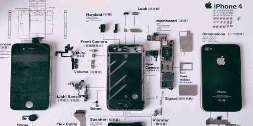 iPhone4被制成标本售卖 为什么会这样