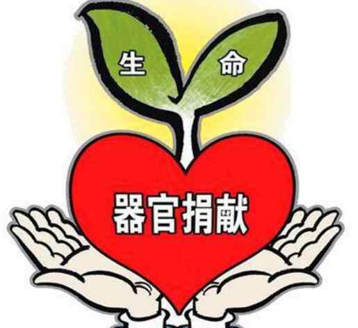 41岁男子车祸离世捐器官救7人 他是怎么做到