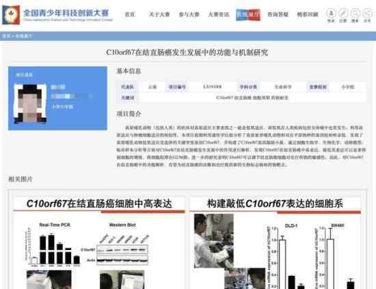 小学生研究癌症获奖 组委会回应 真相终于大白了