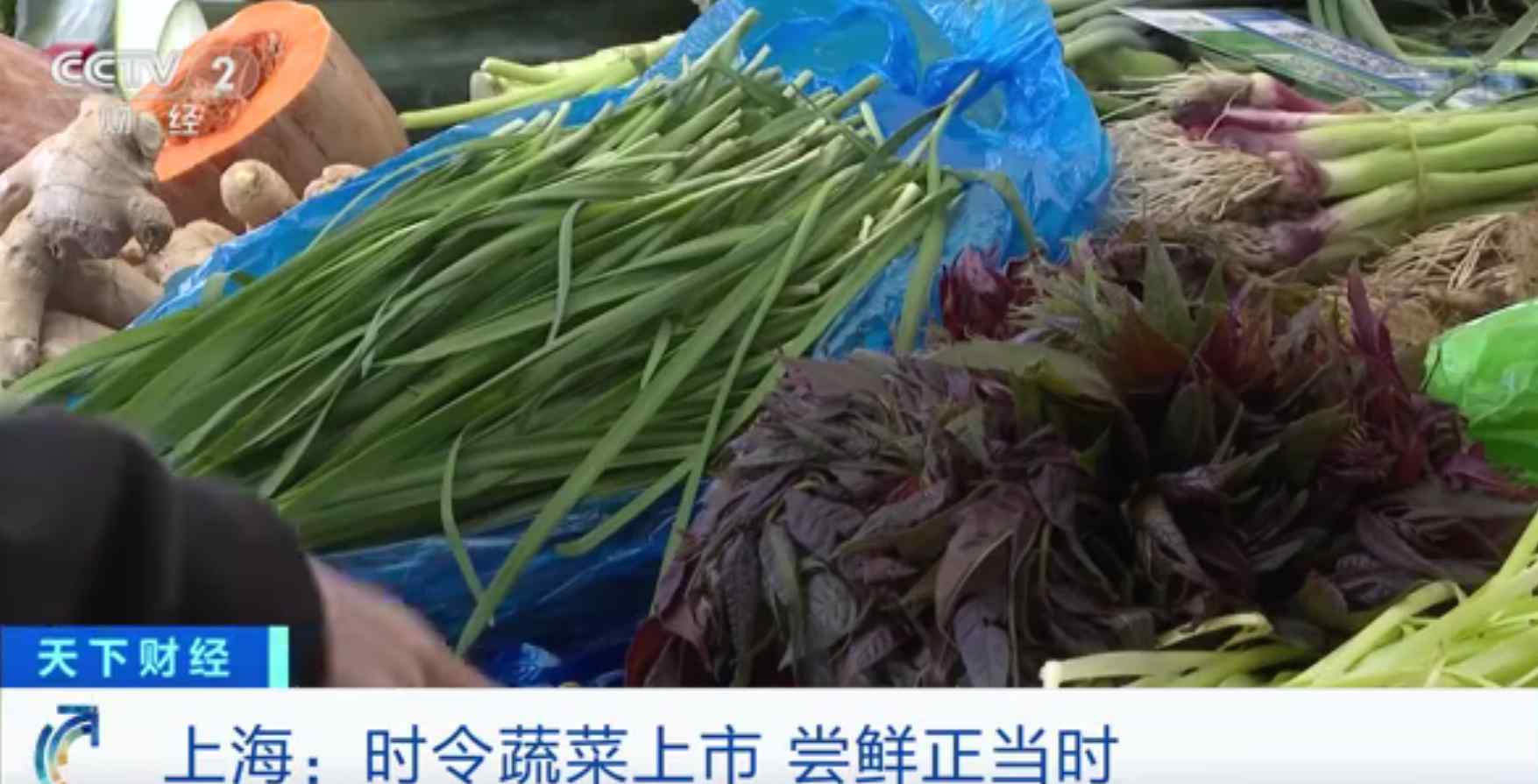 上海香椿卖到90元一斤 网友：老家院里有香椿树 不要钱
