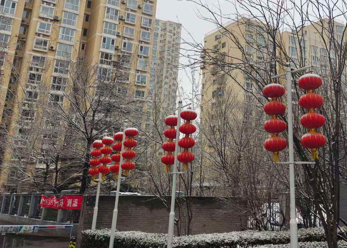3月第一天 北京下雪了！网友：又把厚羽绒服穿上了