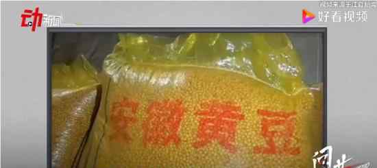 武汉采购360吨黄豆来抗洪 小黄豆也能有大作用