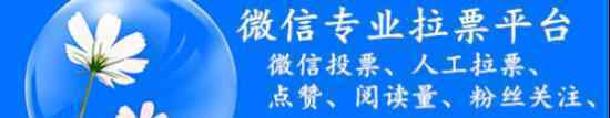 谈谈微信找人投票怎么收费，网上哪里可以找人帮忙投票