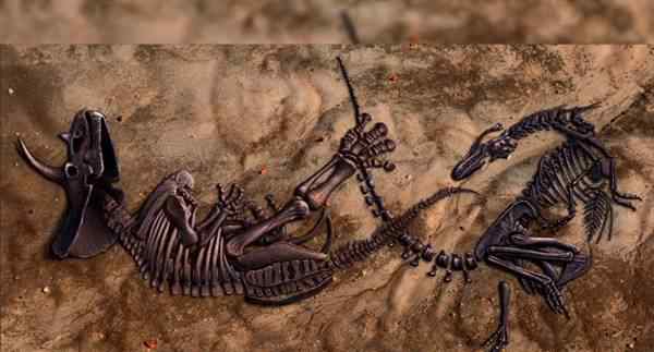 三角龙与暴龙的故事 最新化石发现：凝固霸王龙三角龙同归于尽瞬间！