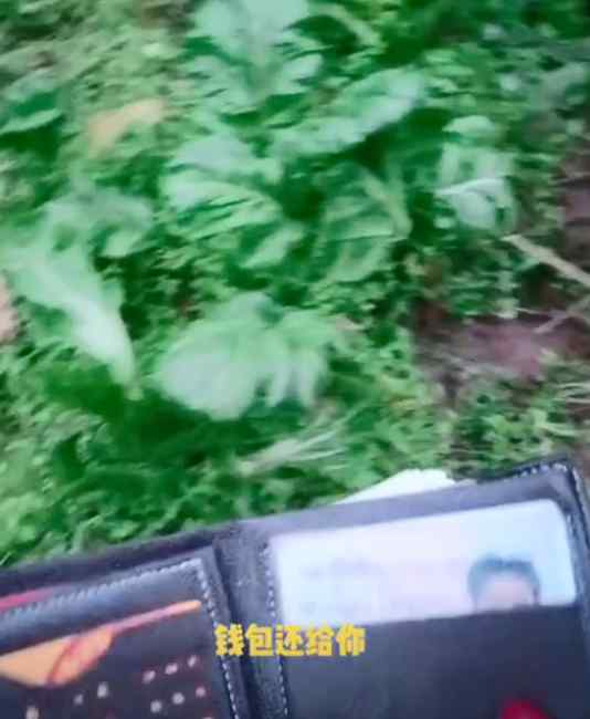 贵州女子发现自家白菜被偷 地里意外捡到小偷钱包打开一看笑出声!