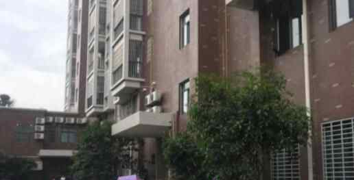 9岁孩子从高层楼顶不慎坠亡被对面邻居拍下 警方介入调查