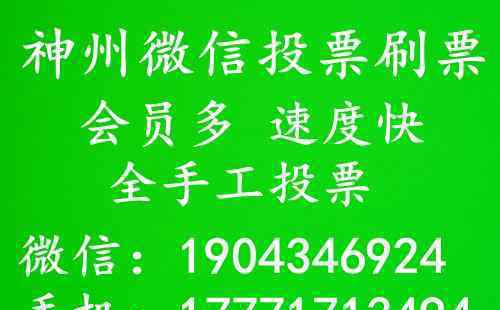 一起聊聊人工投票最低多少钱一票，投票人工刷票会被发现吗