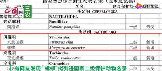 专家回应螺蛳拟列为二级保护动物 具体什么情况