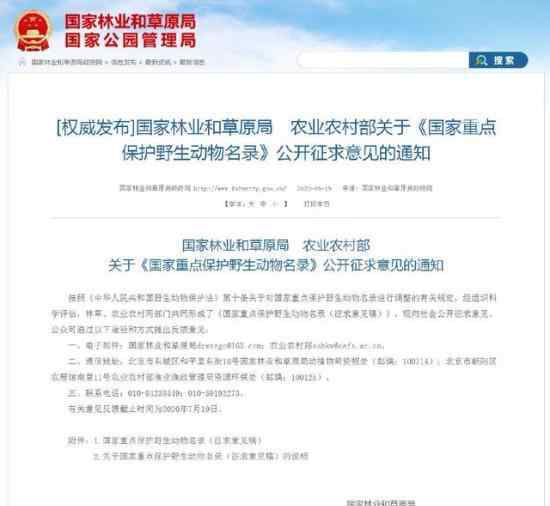 长江江豚拟升为国家一级保护动物 具体是什么情况