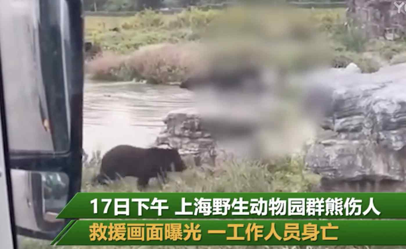 游客讲述上海野生动物园游览经历 回顾事情经过